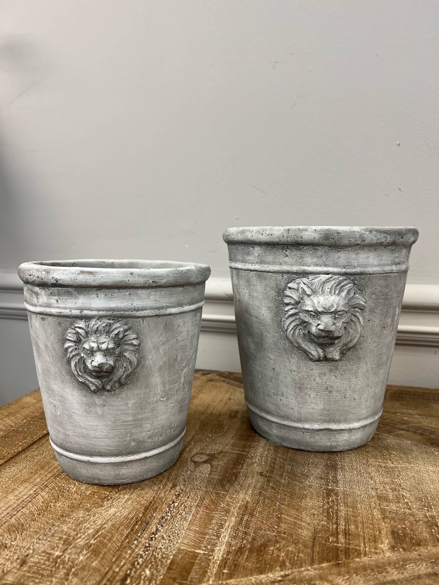 Cement Lion Planter: Medium