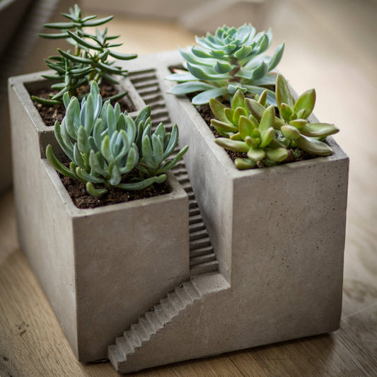 Cement Architectural Cube Planter III