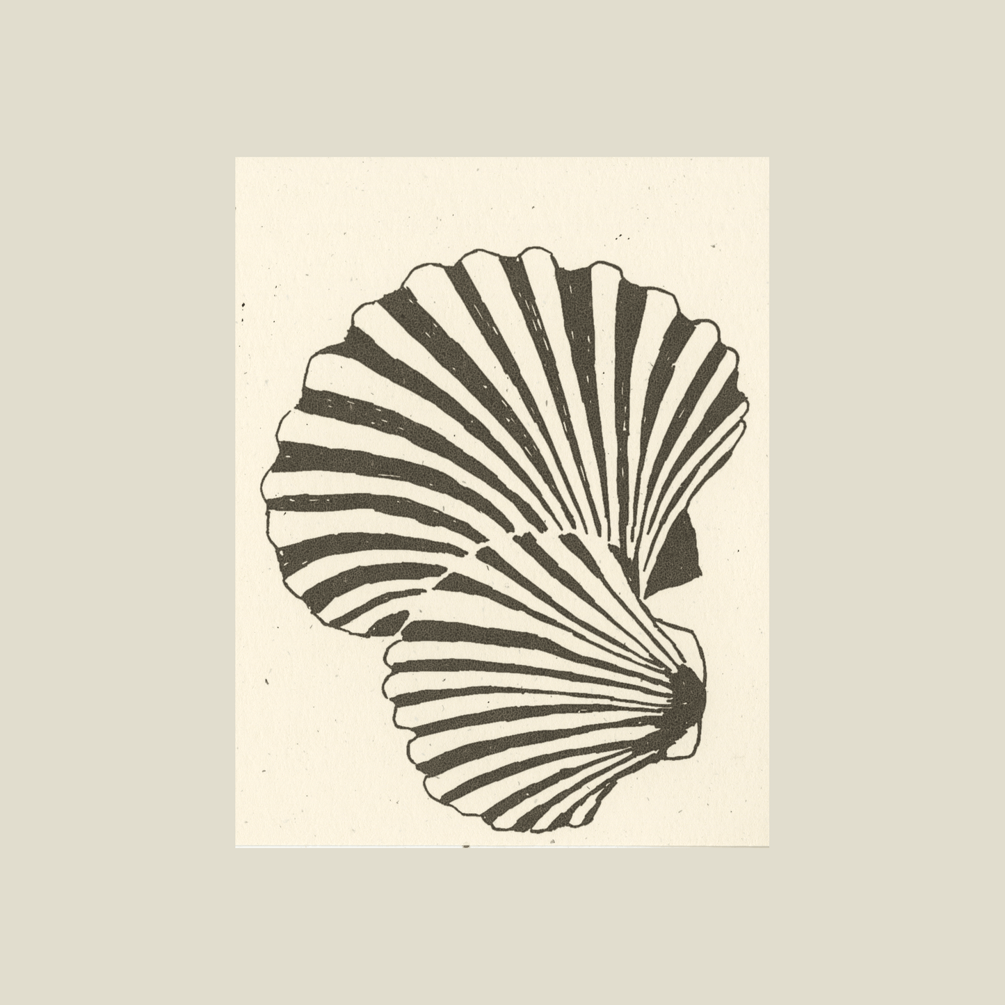 Scallop shells card