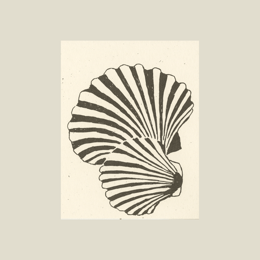 Scallop shells card