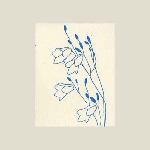 Bluebells card