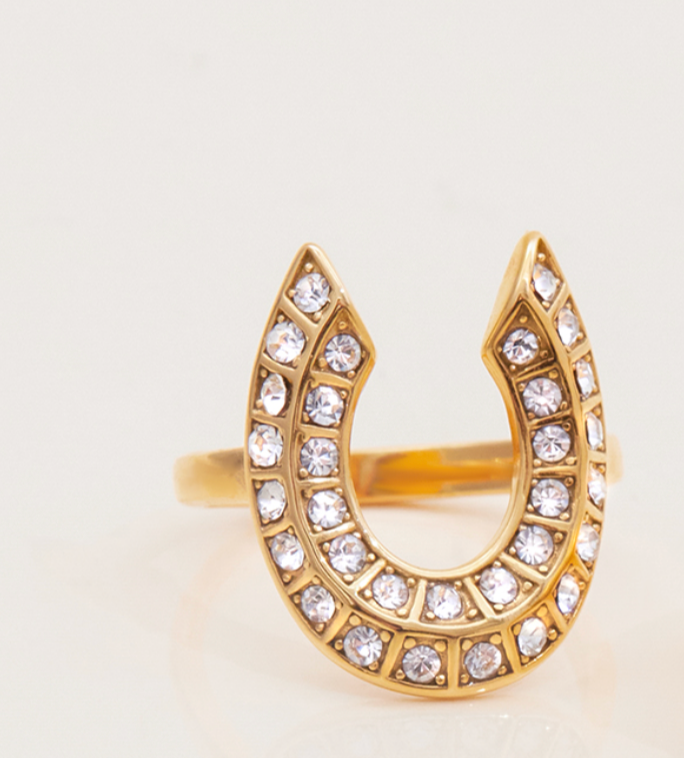 Luck Horse Shoes CZ Ring- 14K Steel : 7