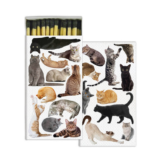 Cat Pack- Matches