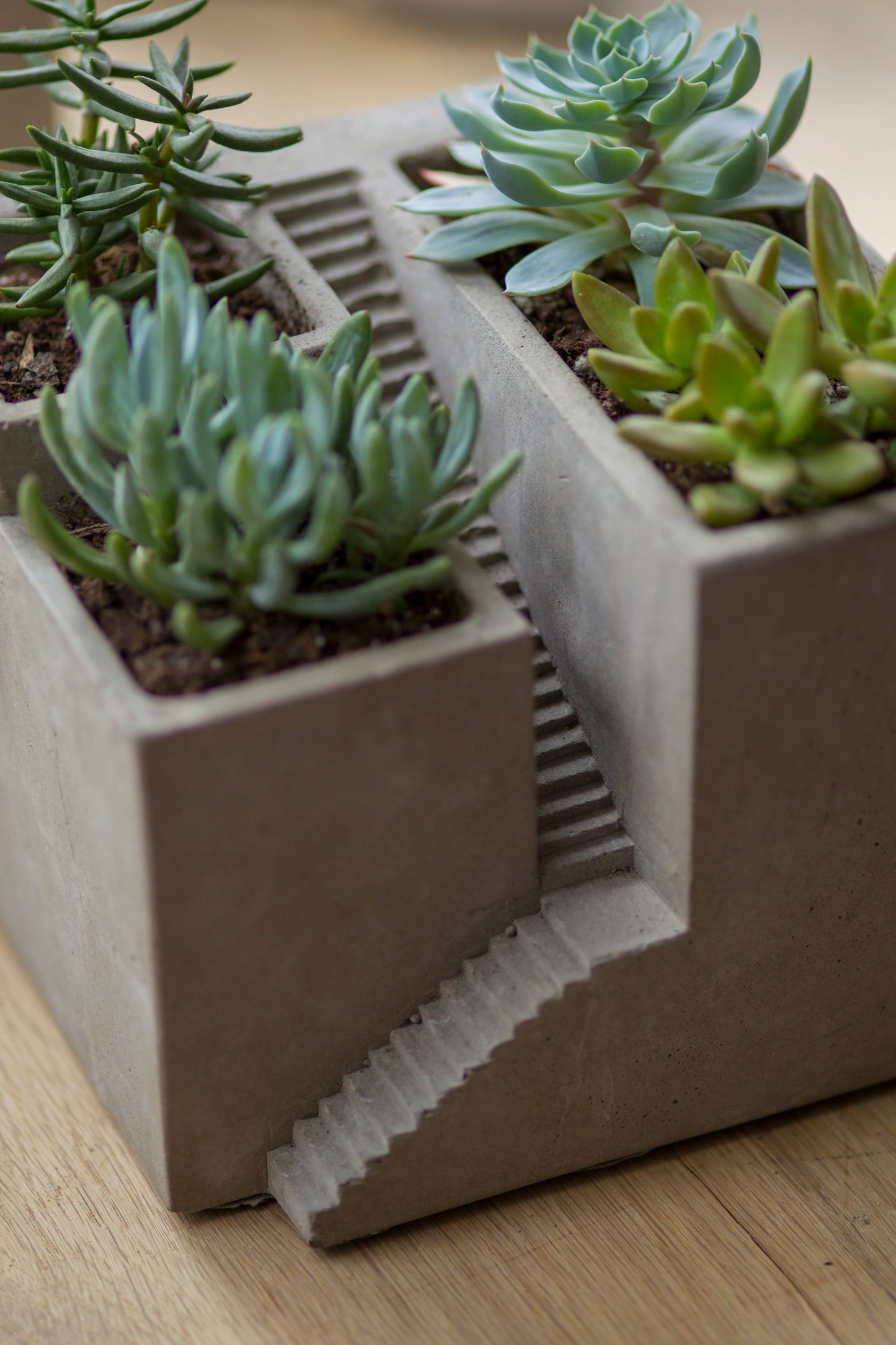 Cement Architectural Cube Planter III