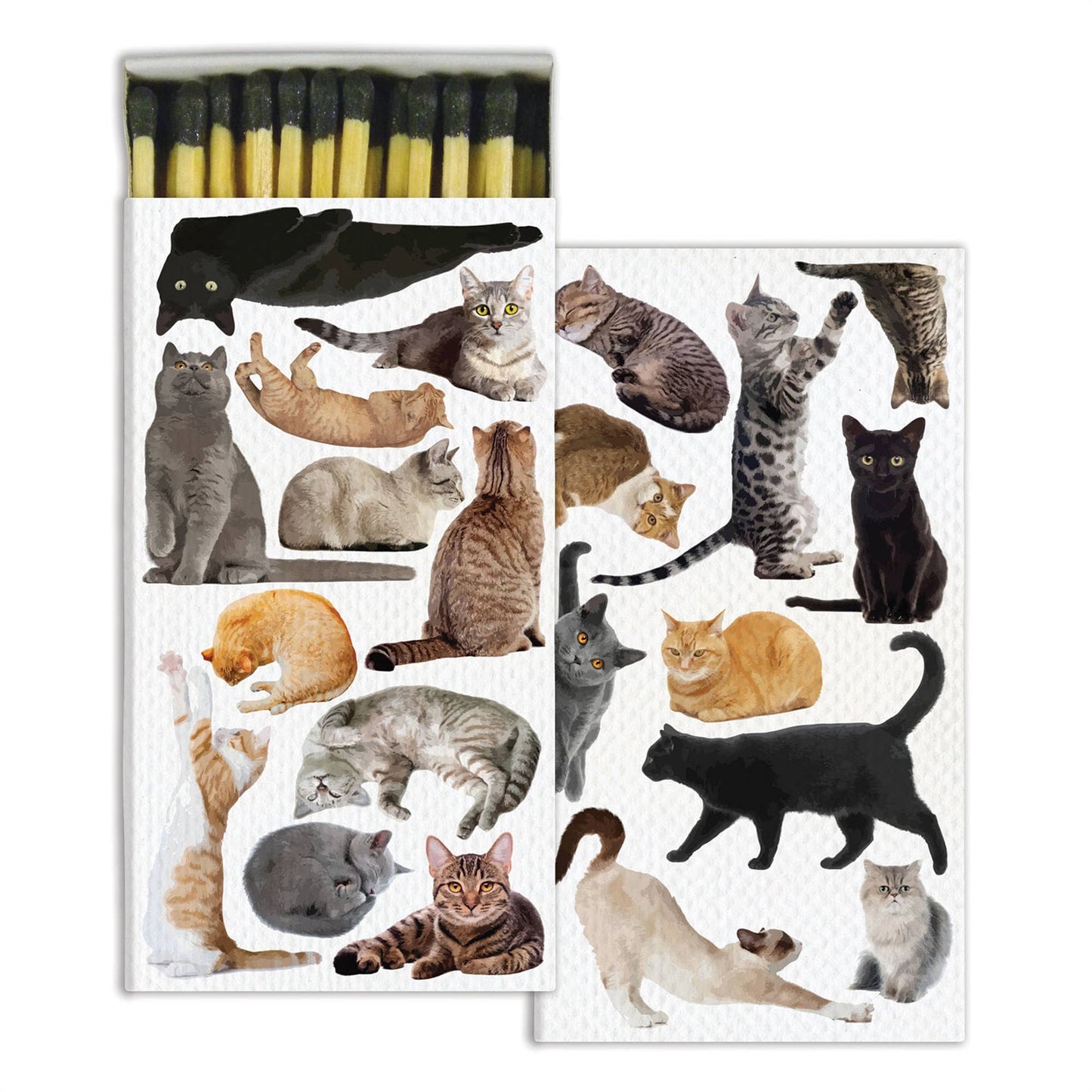 Cat Pack- Matches