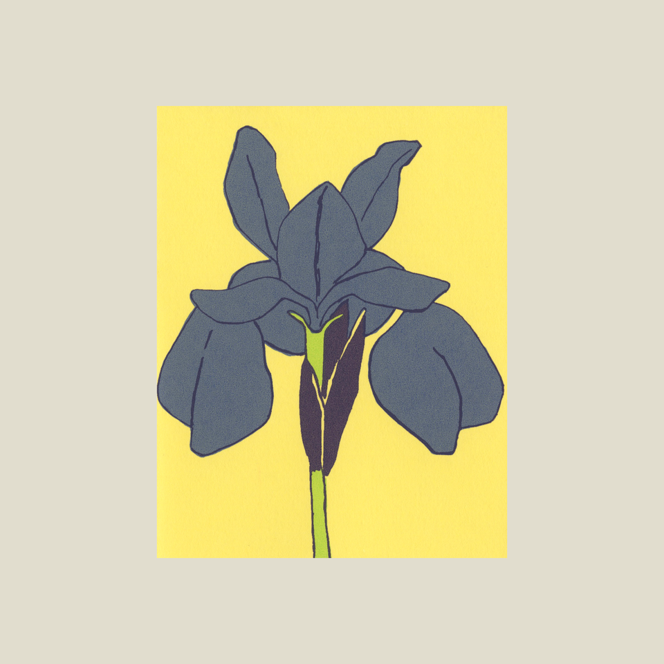 Iris card
