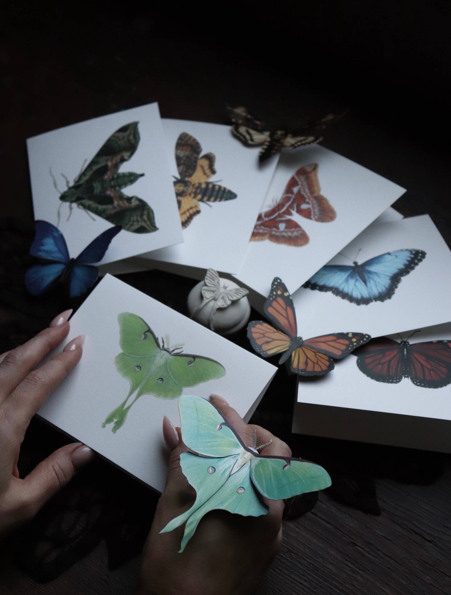 Blue Morpho Greeting Card