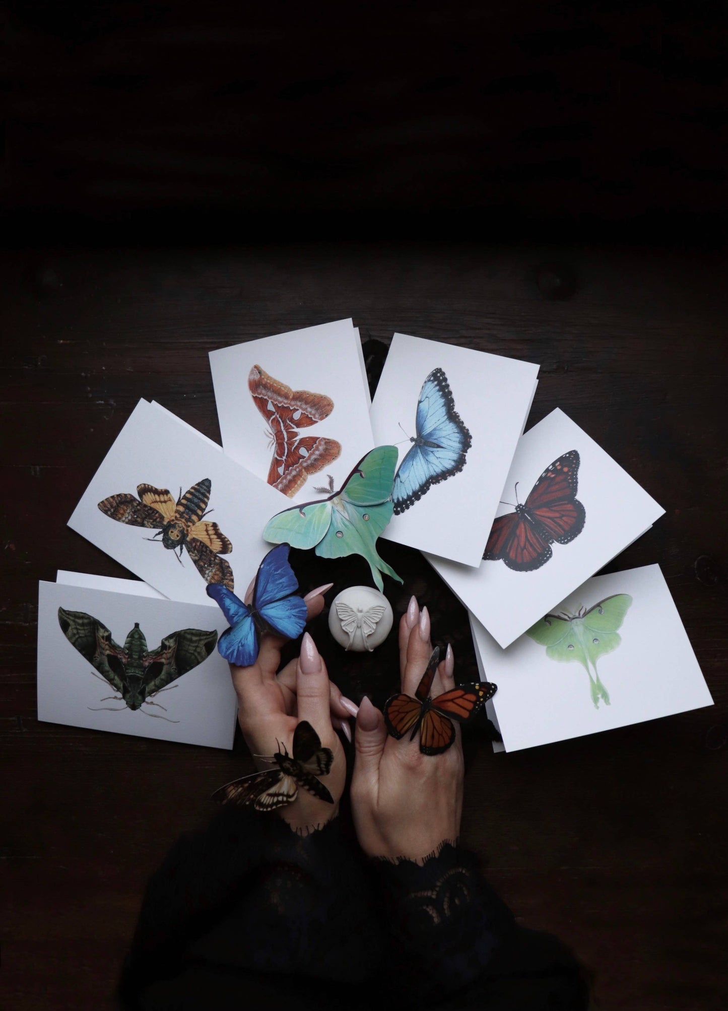 Blue Morpho Greeting Card