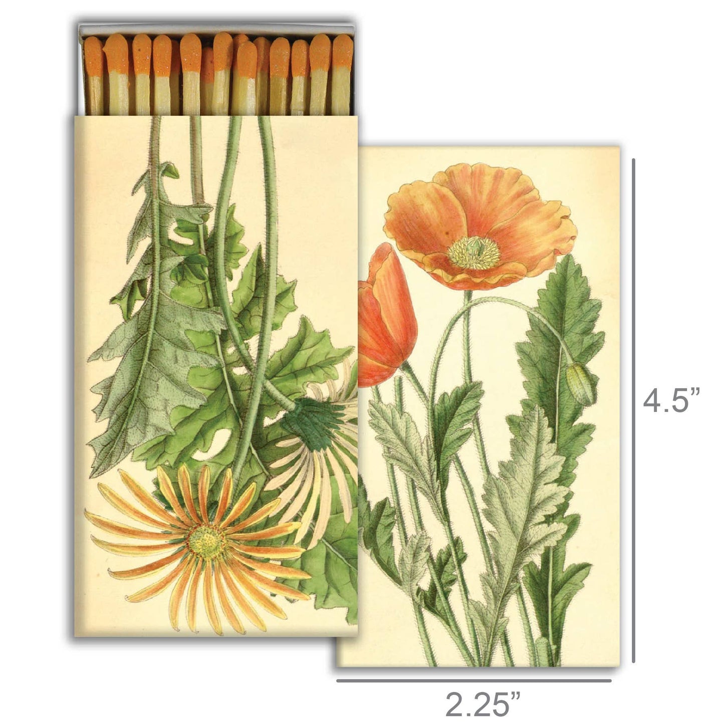 Match - Poppy & Gerber Daisy