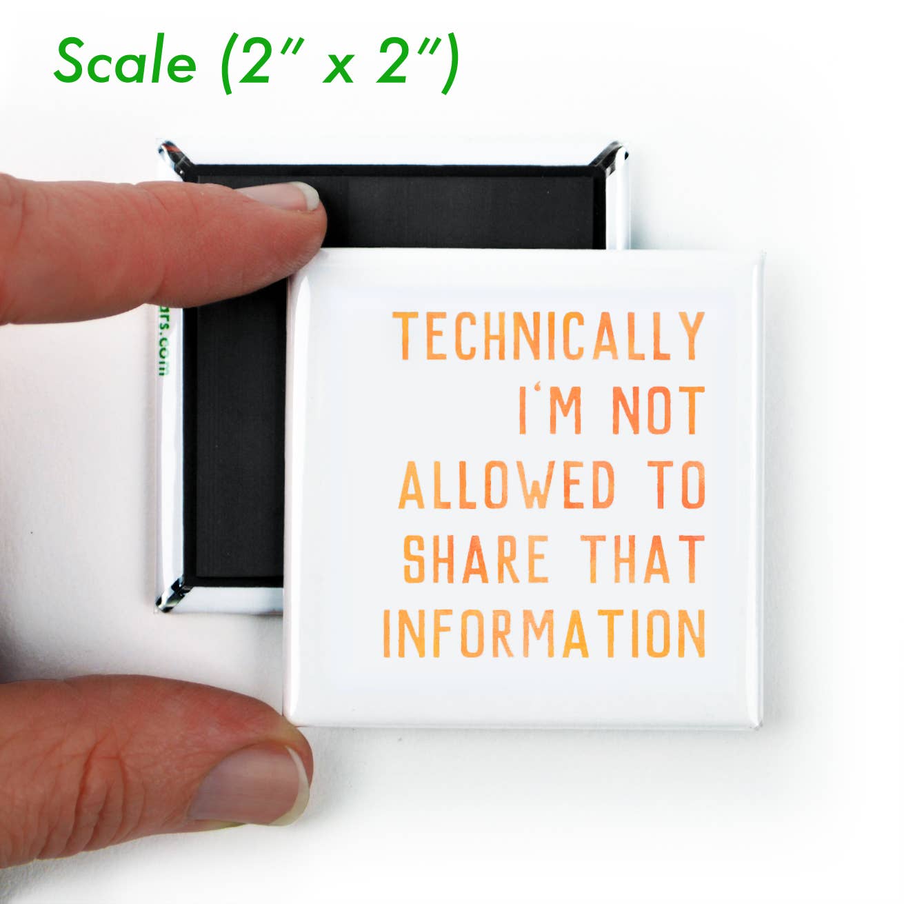 Vote Out the Patriarchy Magnet; Feminist Gift; Cat Lover