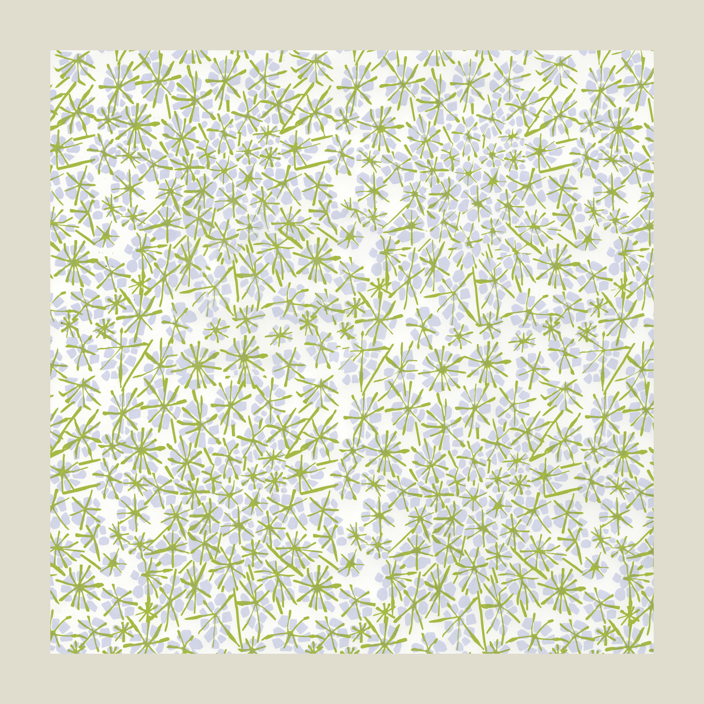 Queen Anne's Lace Gift Wrap