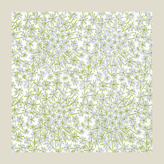 Queen Anne's Lace Gift Wrap