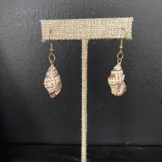 Gilded shell earrings on a gray stand against a dark background