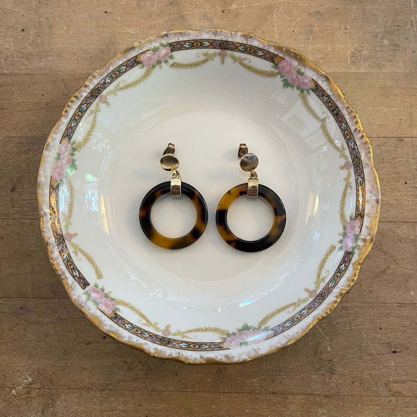Tortoise Hoops