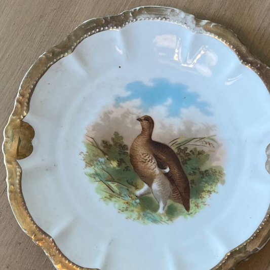 Vintage Bavarian Brown Bird Porcelain Plate