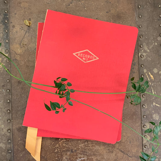 Records No 1: Luxury Journal