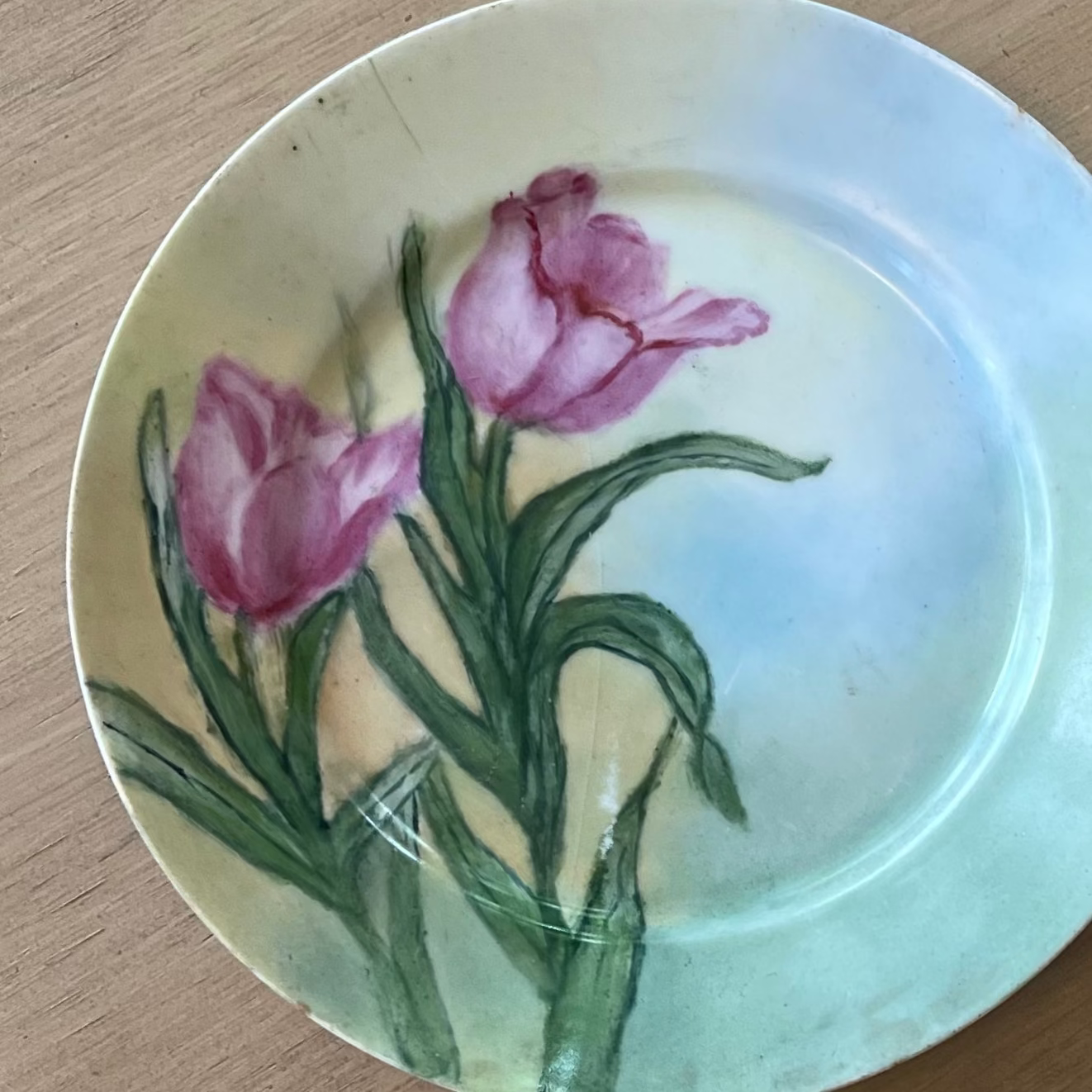 Hand-Painted Tulip Porcelain Plate
