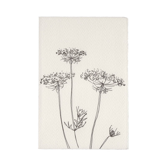In The Meadow Card - Queen Anne's Lace