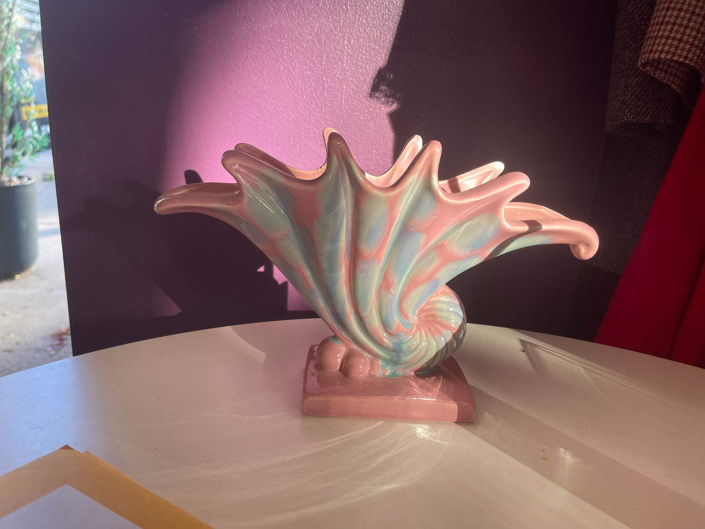 Seashell Vase