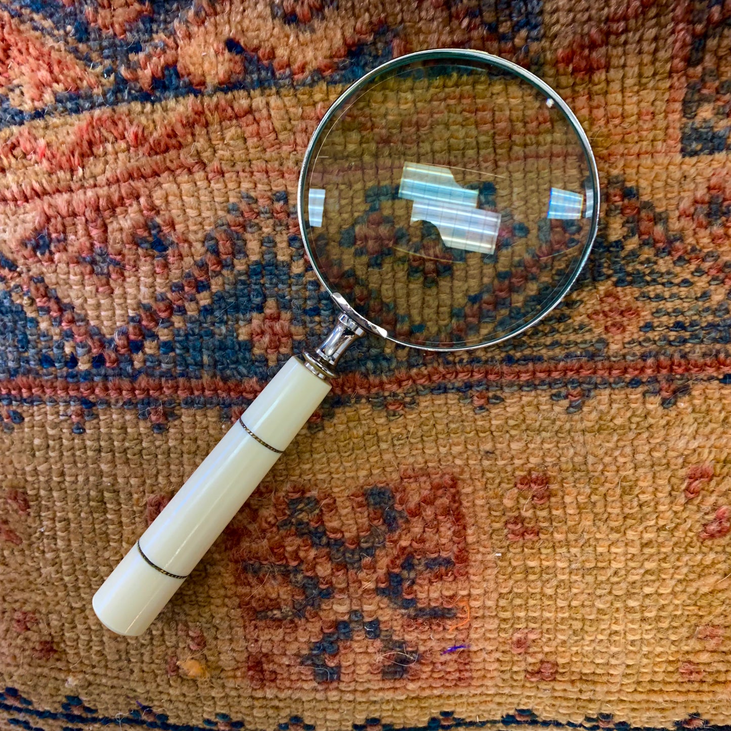 Parisi Magnifying Glass