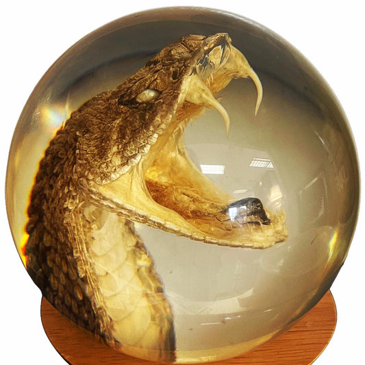Serpent Orb