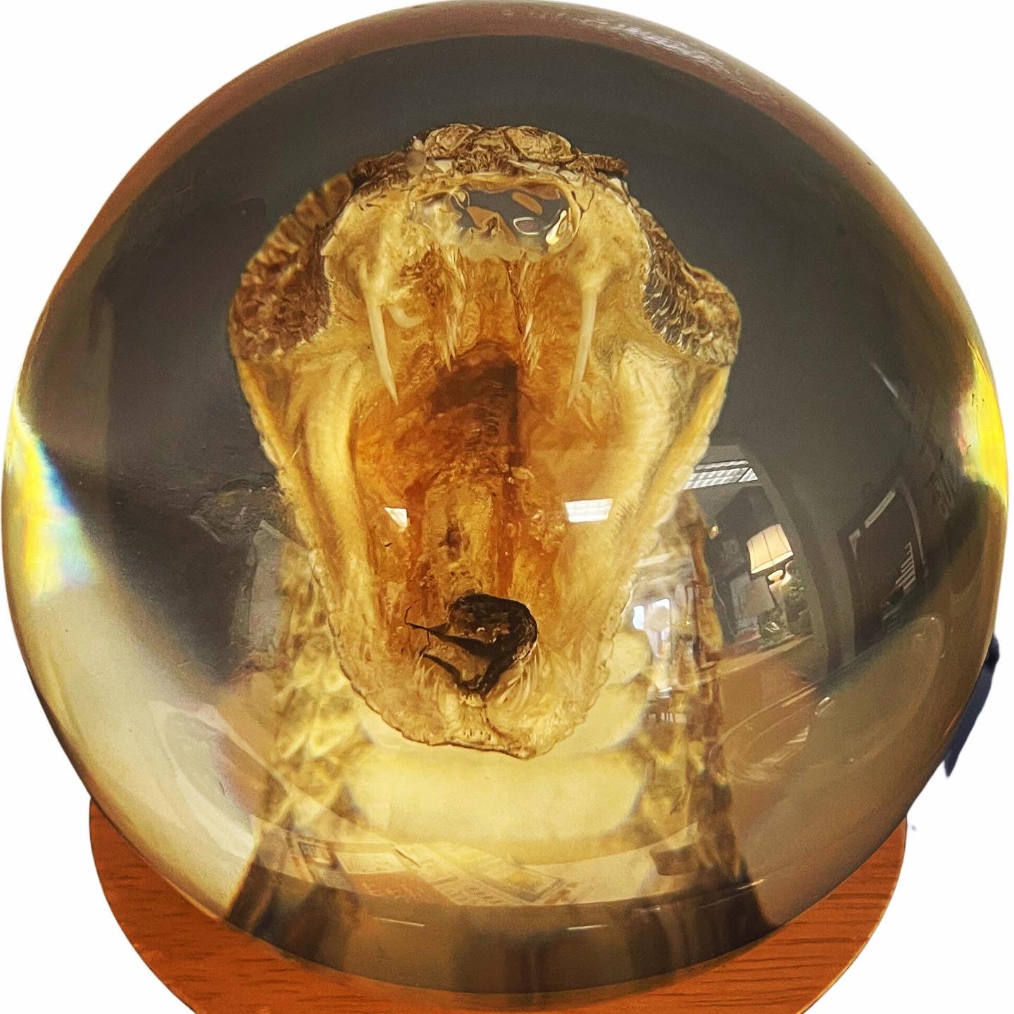 Serpent Orb