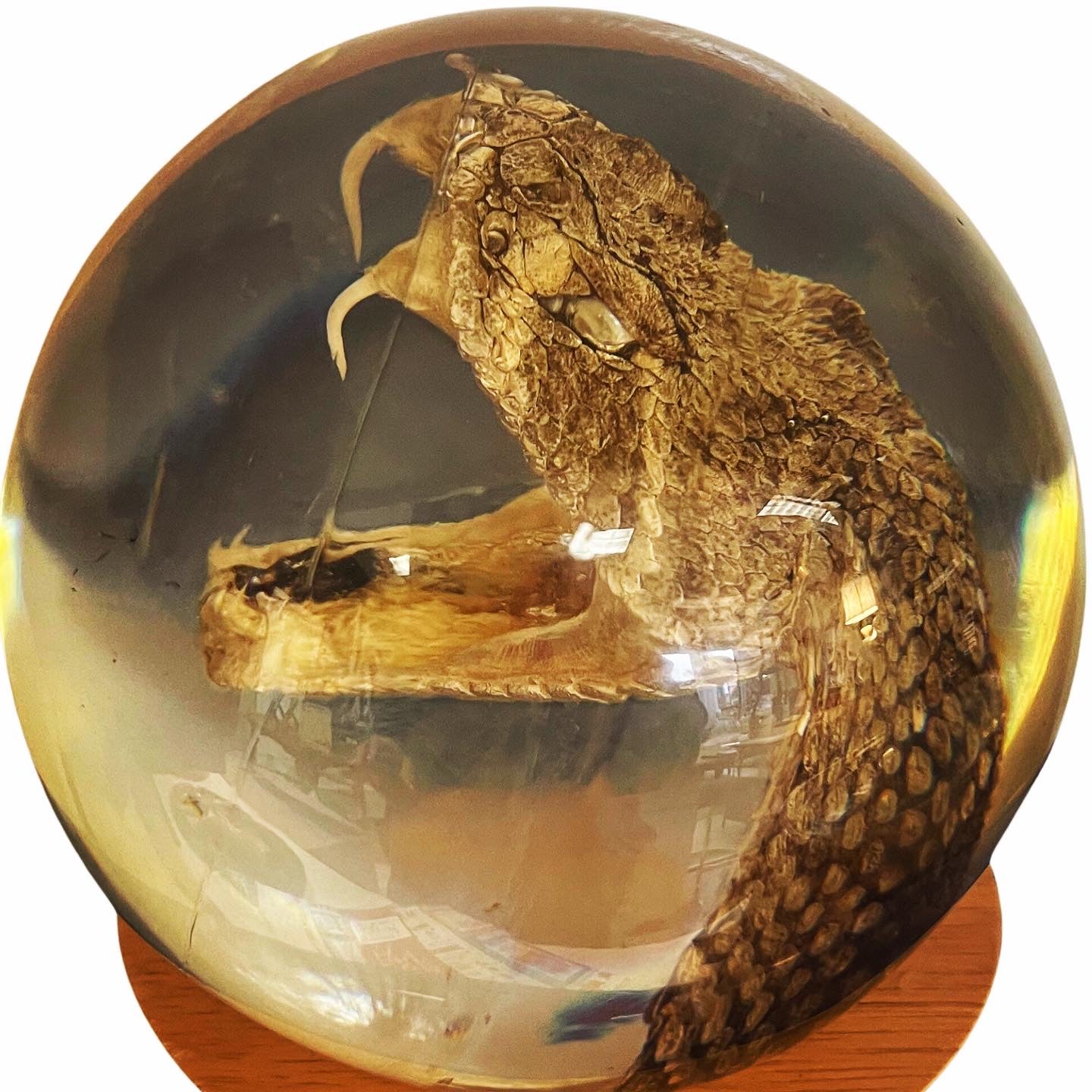 Serpent Orb