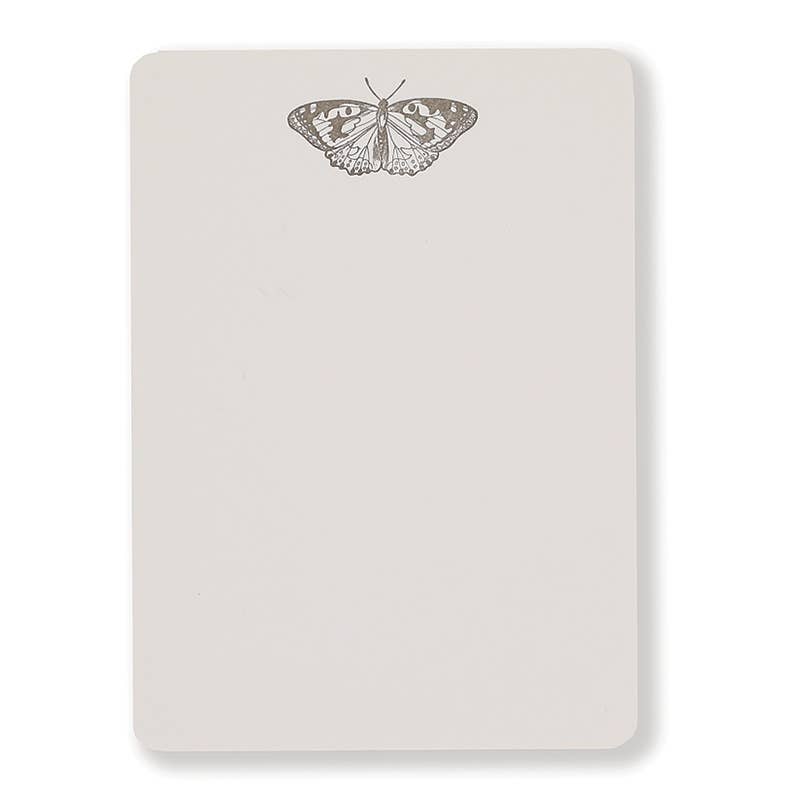 Moth - Boxed Tails