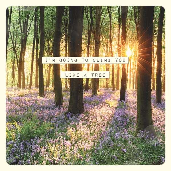 Paper Ninja Photo - Like a Tree Card