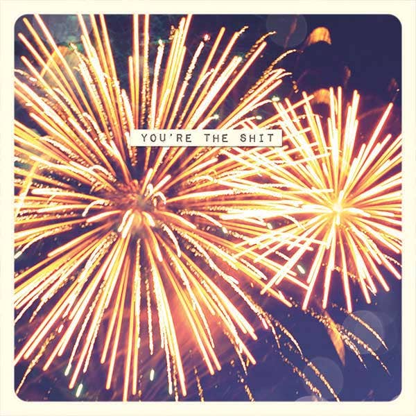 Paper Ninja Photo - You're The Shit Card