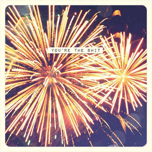 Paper Ninja Photo - You're The Shit Card