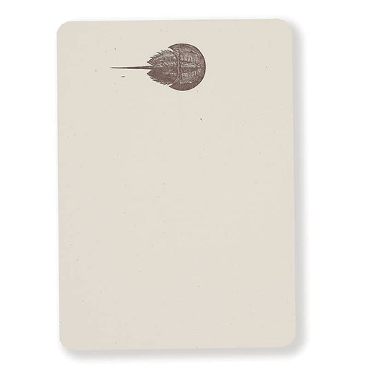 Horseshoe Crab - Boxed Tails