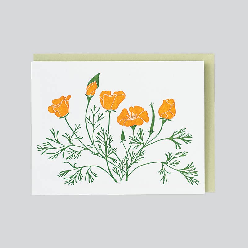 Poppies