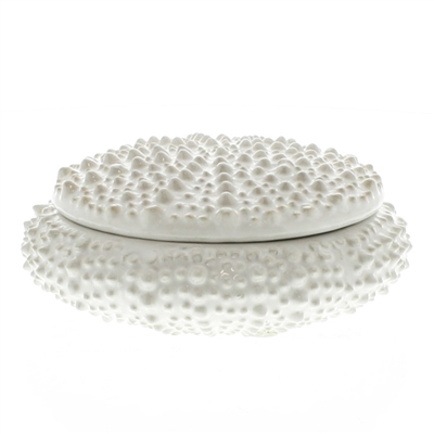 Urchin Ceramic Box - Sm - White