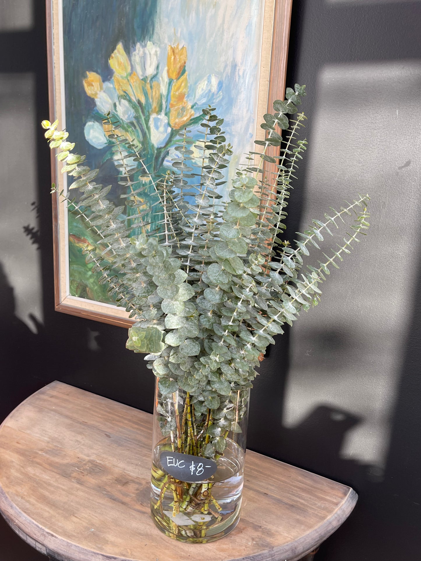 Eucalyptus Bundle