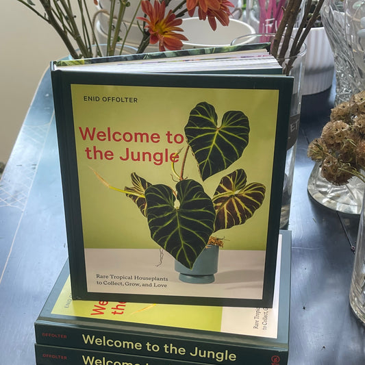 Welcome to the Jungle