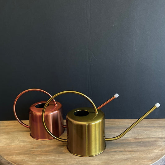 Echo Metallic Watering Can