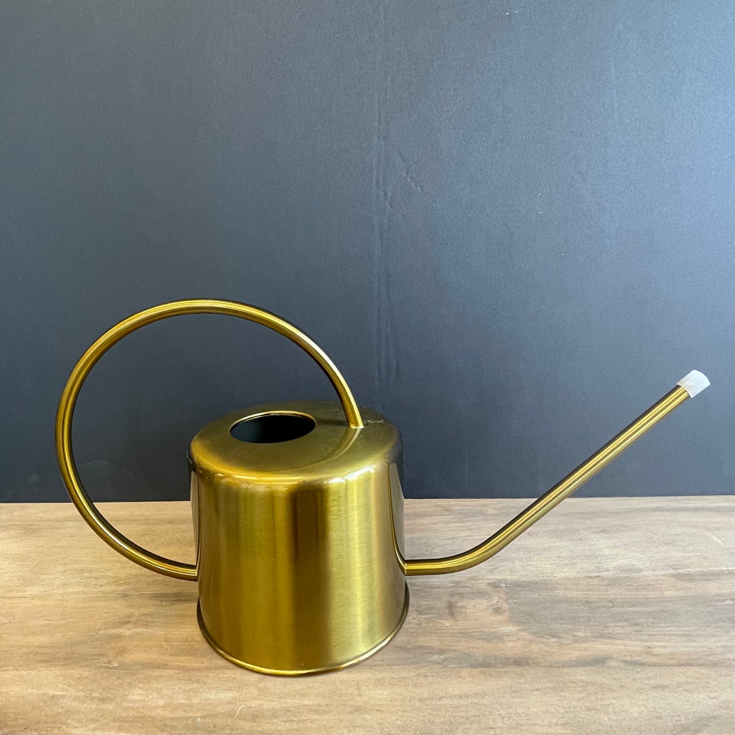 Echo Metallic Watering Can