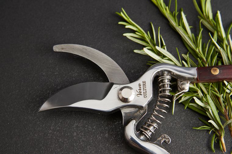 Thai Kitchen and Garden Shears
