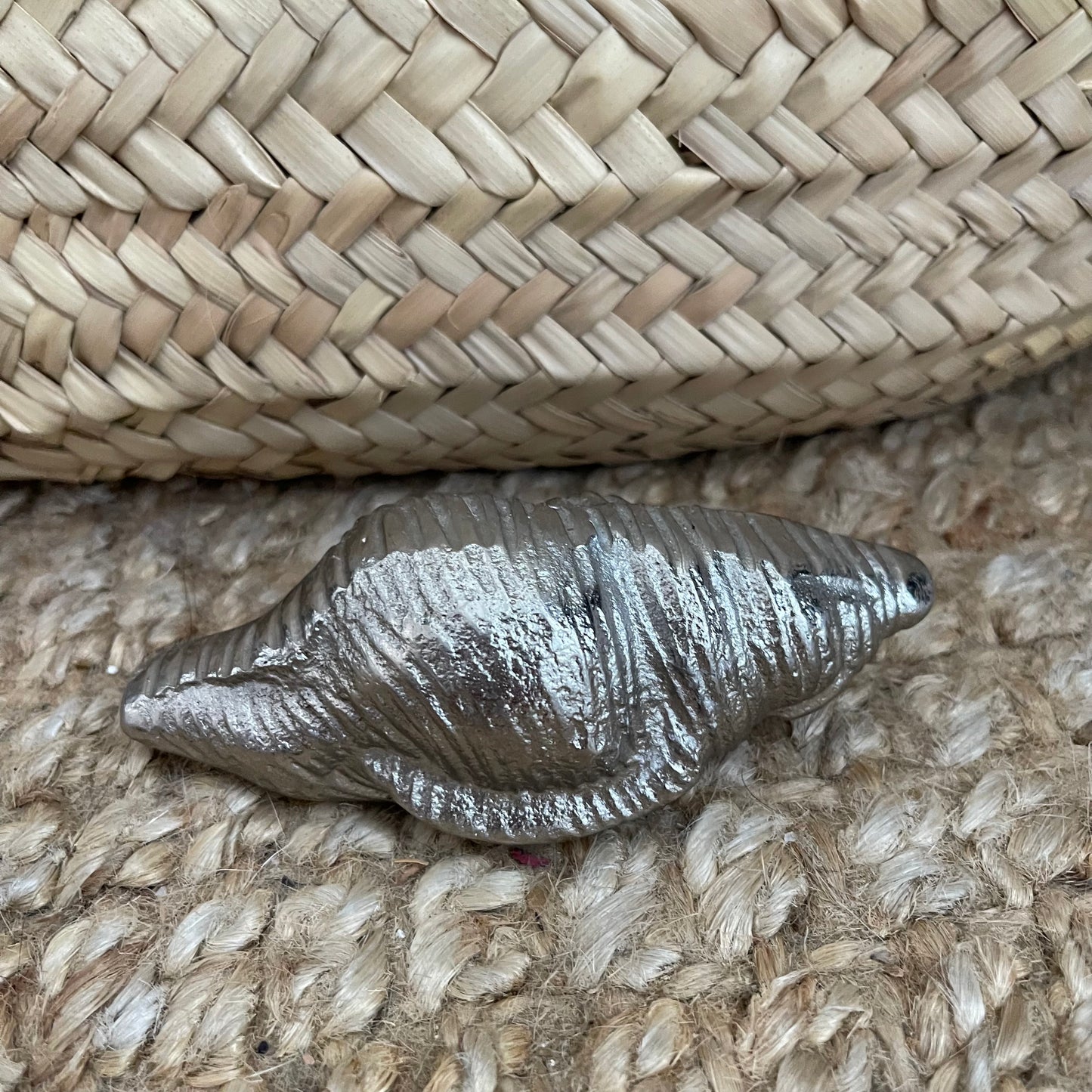 Small Decorative Silver Shell