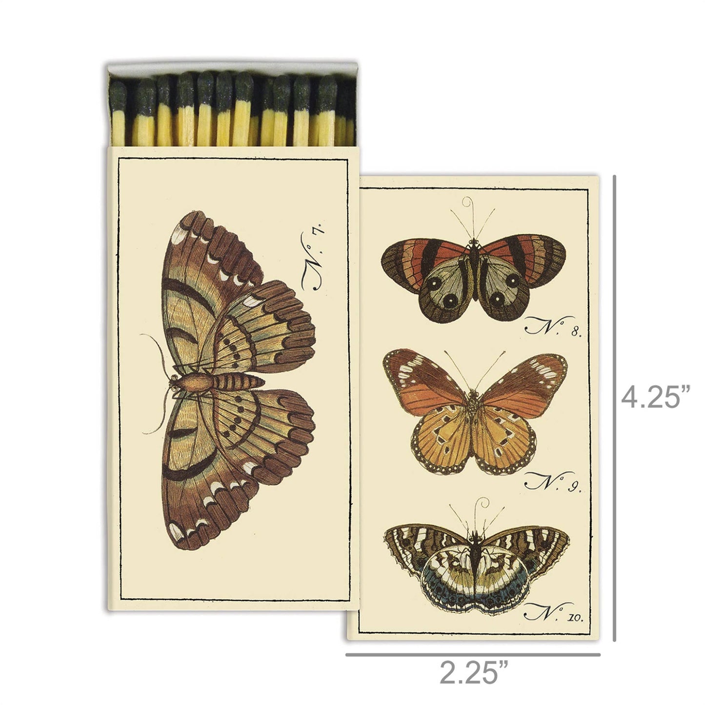 Matches - Insect - Butterfly