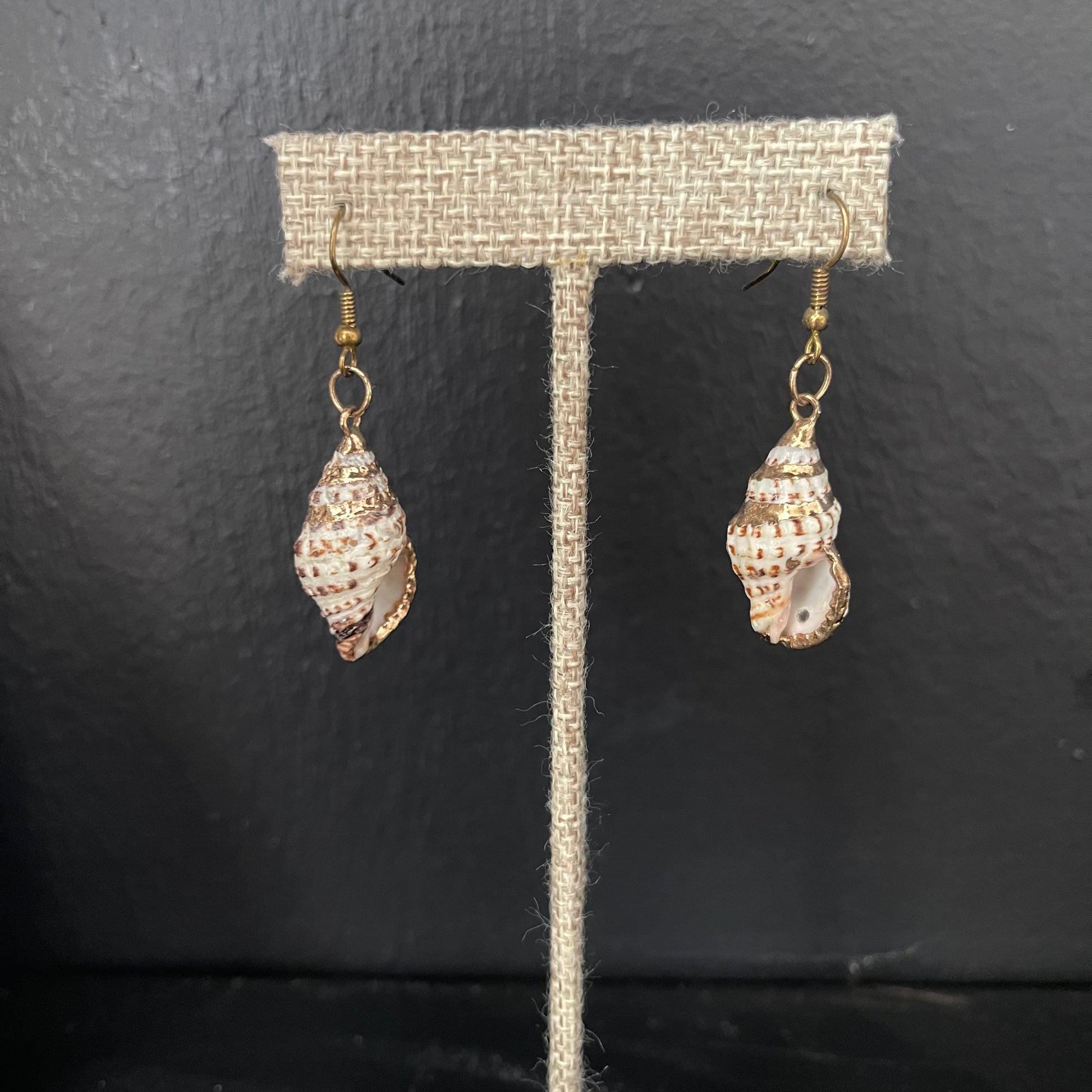 Gilded shell earrings on a gray stand against a dark background