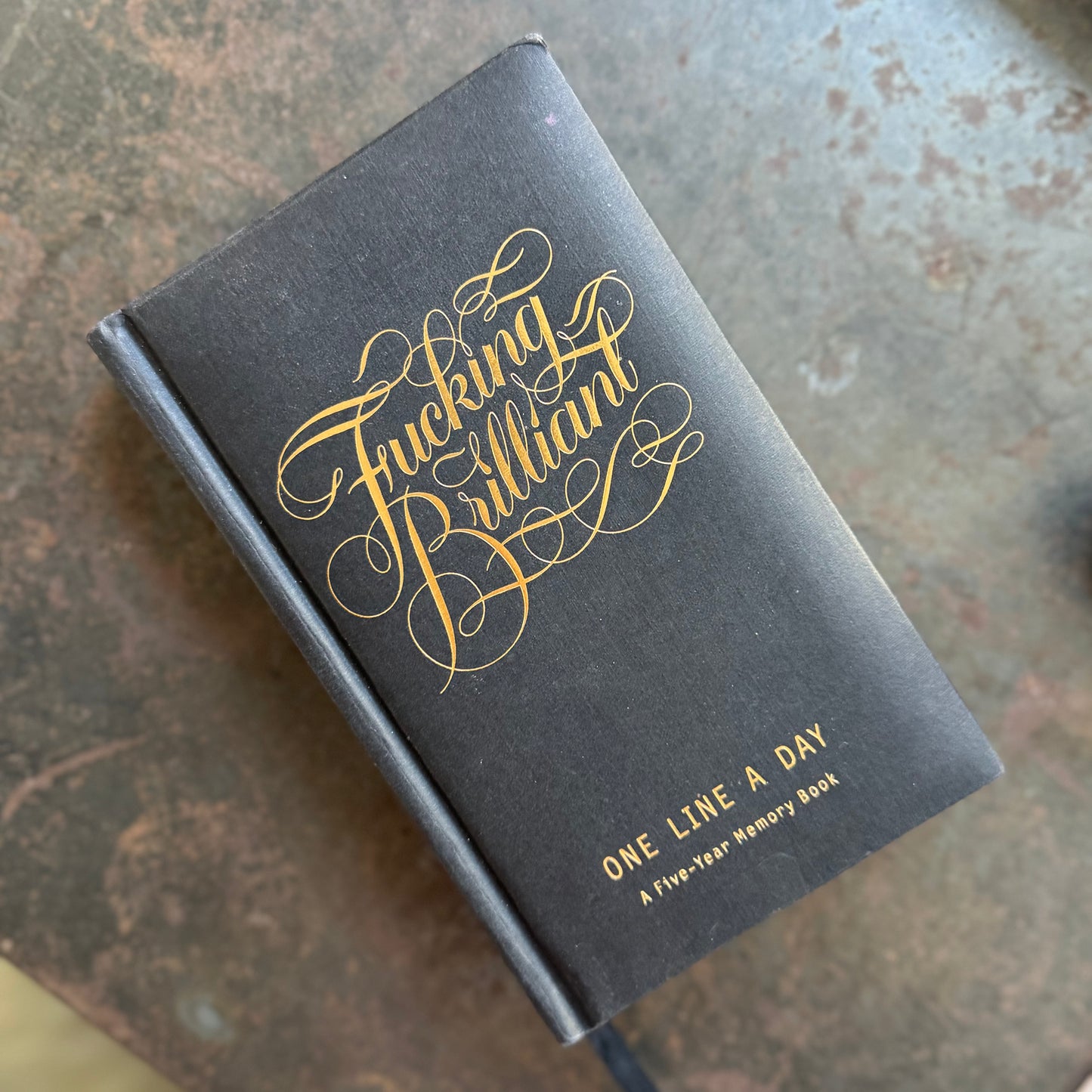 Fucking Brilliant One Line a Day Journal