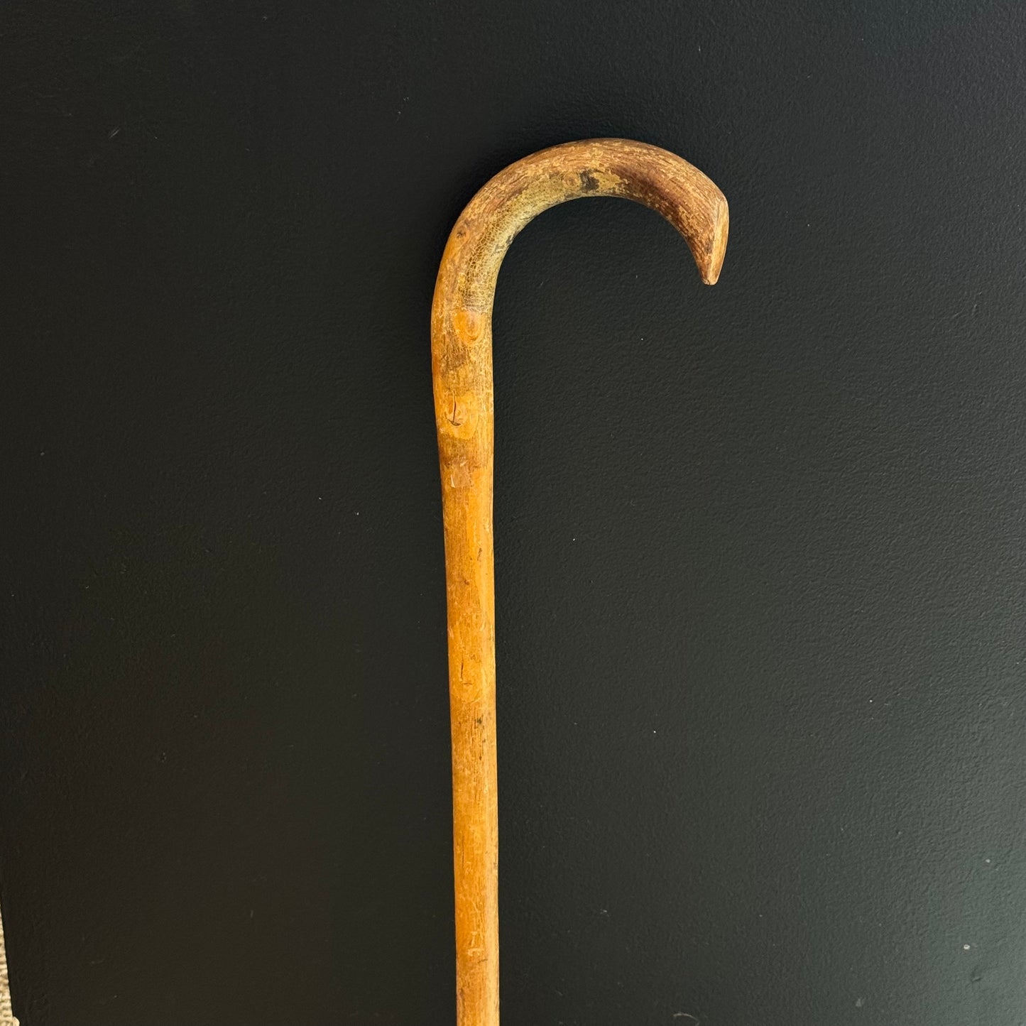 Antique Cane