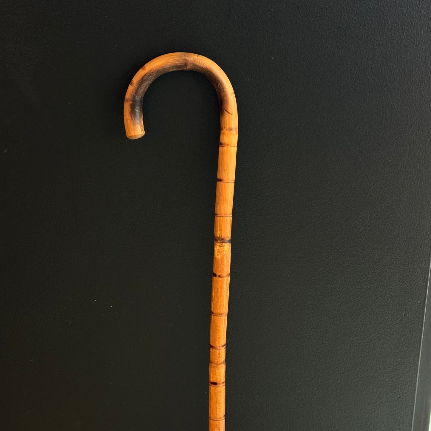 Antique Cane