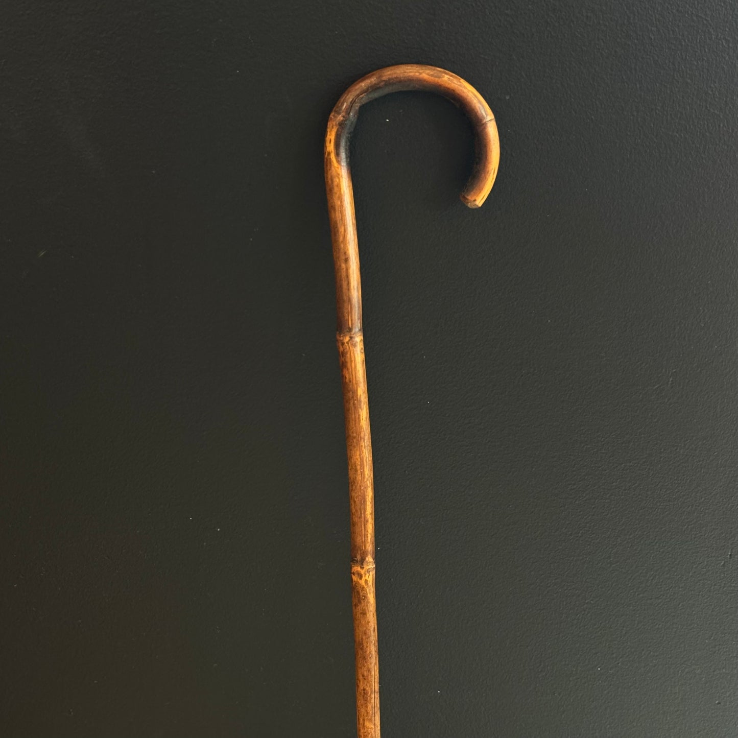Antique Cane