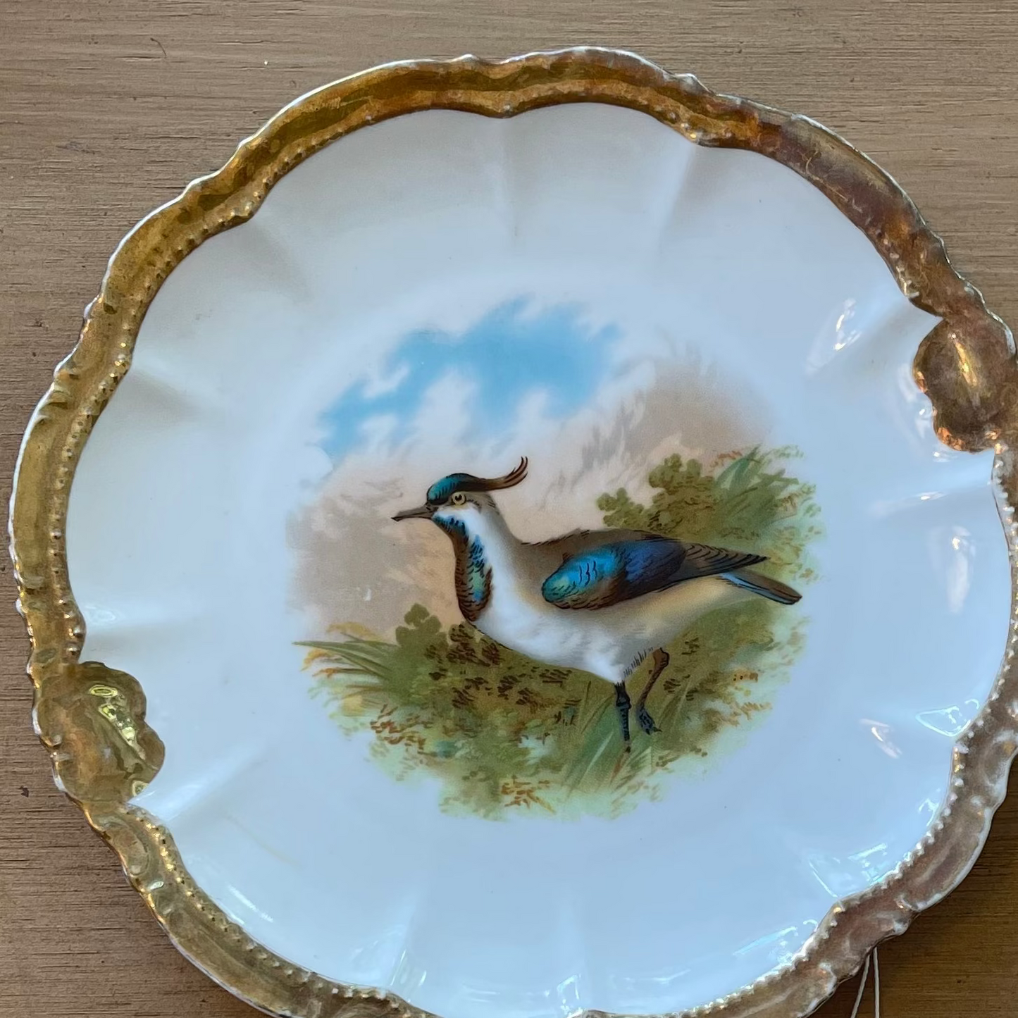 Vintage Bavarian Blue Bird Porcelain Plate