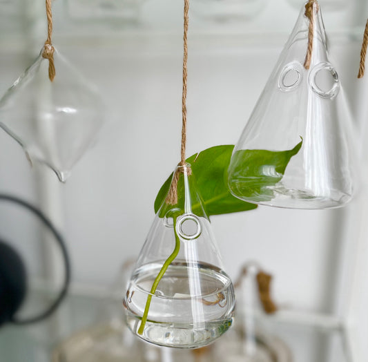 Hanging Terrarium