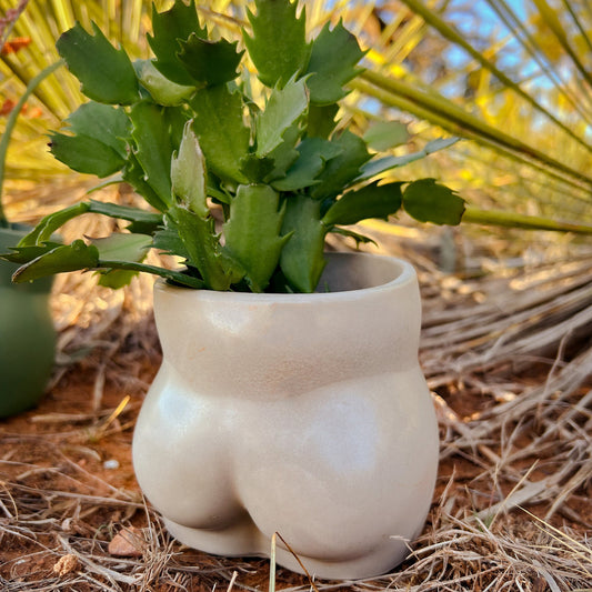 Cheeky Planter