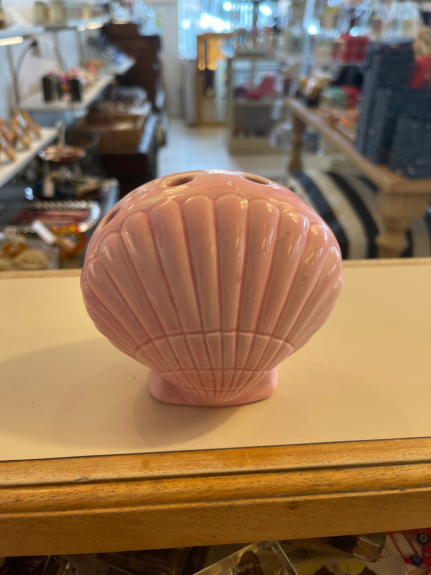 Seashell vase